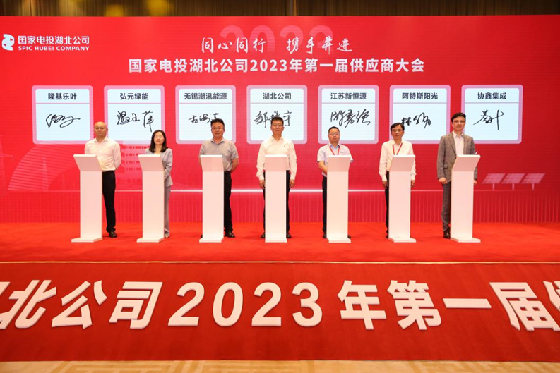 202306178210